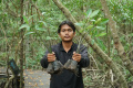 Penanaman Bibit Mangrove di Kabupaten Siak