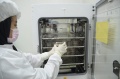Peneliti Melakukan Riset di Laboratorium Riset Stem Cell