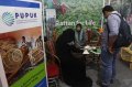 Pengembangan Industri Rotan Indonesia