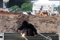 Pengerjaan RPTRA Dan RTH Kalijodo