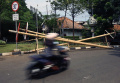 Penjual Batang Pohon Pinang Jelang HUT Kemerdekaan RI Ke-77