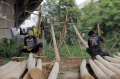 Penjual Pohon Pinang Mulai Ramai Jelang Hari Kemerdekaan RI