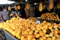 Penjualan Buah Timun Suri Meningkat saat Ramadan