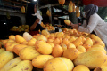 Penjualan Buah Timun Suri Meningkat saat Ramadan