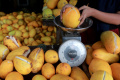Penjualan Buah Timun Suri Meningkat saat Ramadan