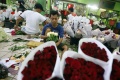 Penjualan Bunga Mawar Meningkat Jelang Hari Valentine