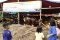 penjualan-hewan-kurban_20220707_072941.jpg