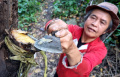 Penyadap Nira Aren di Hutan Kota Mata Air Cikendi Kota Bandung