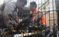 Penyelundupan Burung Dari Balikpapan