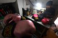 Perajin Sarung Tinju di Malang