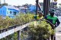 perawatan-tanaman-saat-puncak-musim-kemarau-di-kota-malang_20230828_202122.jpg
