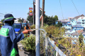 perawatan-tanaman-saat-puncak-musim-kemarau-di-kota-malang_20230828_202213.jpg