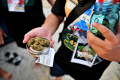 Perayaan Legalisasi Ganja di Thailand