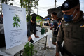 Perayaan Legalisasi Ganja di Thailand