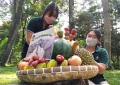 Peringati Hari Gajah Sedunia 2022, Bonbin Bandung Zoo Beri Gajah Tumpeng Buah-Buahan