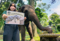 Peringati Hari Gajah Sedunia 2022, Bonbin Bandung Zoo Beri Gajah Tumpeng Buah-Buahan