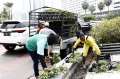 Persiapan Dinas Pertamanan Sambut HUT Ke-495 DKI Jakarta