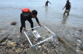 pertamina-tanam-ratusan-terumbu-karang-di-bangsring-underwater_20231015_193223.jpg