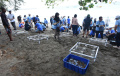 pertamina-tanam-ratusan-terumbu-karang-di-bangsring-underwater_20231015_193227.jpg