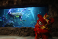 pertunjukan-barongsai-underwater-sambut-perayaan-imlek_20220124_153344.jpg