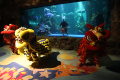 Pertunjukan Barongsai Underwater Sambut Perayaan Imlek