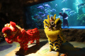 Pertunjukan Barongsai Underwater Sambut Perayaan Imlek