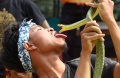 Pertunjukan Seni Atraksi Ular Memperingati HUT Ke-74 RI