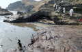 Peru Selidiki Tumpahan Miyak yang Diduga Akibat Tsunami Tonga