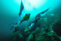 perusahaan-nikel-di-pulau-obi-kibarkan-bendera-merah-putih-di-ba_20240819_175355.jpg