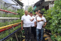 petani-kota-green-puspa-terapkan-smart-farming_20230125_191620.jpg