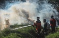 Petugas BNPB Berusaha Padamkan Kebakaran Hutan Sumsel