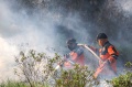 Petugas BNPB Berusaha Padamkan Kebakaran Hutan Sumsel