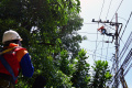 petugas-pln-malang-lakukan-perawatan-jaringan-listrik_20220917_202025.jpg