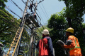 Petugas PLN Malang Lakukan Perawatan Jaringan Listrik