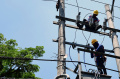 Petugas PLN Malang Lakukan Perawatan Jaringan Listrik