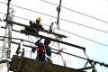 Petugas PLN Malang Lakukan Perawatan Jaringan Listrik