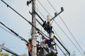 Petugas PLN Malang Lakukan Perawatan Jaringan Listrik