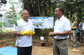PLN Tanam 1000 Pohon Untuk Jakarta