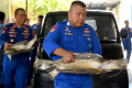 Polairud Bali Gagalkan Penyelundupan Penyu Hijau