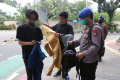 Polisi Periksa Peserta Demo 