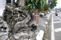 pot-tanaman-kawasan-simpang-lima-bandung-pada-rusak_20230113_181117.jpg