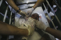 potret-rs-al-shifa-yang-dikepung-pasukan-israel_20231115_075250.jpg