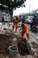 ppsu-perbaikan-saluran-drainase-di-petukangan-jakarta-selatan_20220315_154133.jpg