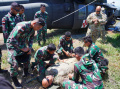Prajurit Medis TNI Handal Selamatkan Jiwa dalam Pertempuran
