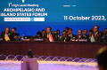 presiden-jokowi-buka-ktt-ais-forum-2023-di-bali_20231011_225825.jpg