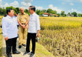 Presiden Jokowi Kunjungan Kerja Tinjau Panen Raya Padi di Kebumen