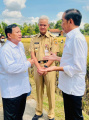Presiden Jokowi Kunjungan Kerja Tinjau Panen Raya Padi di Kebumen