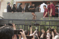 presiden-jokowi-melayat-ke-rumah-duka-hamzah-haz_20240724_161407.jpg
