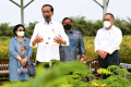 presiden-jokowi-tinjau-persemaian-modern-rumpin-bersama-megawati_20220311_212027.jpg