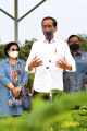 presiden-jokowi-tinjau-persemaian-modern-rumpin-bersama-megawati_20220311_212209.jpg